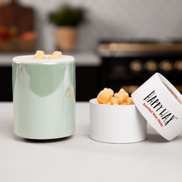 Mini scented best sale wax warmer