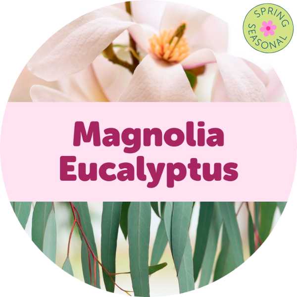 Magnolia Eucalyptus Wax Melts