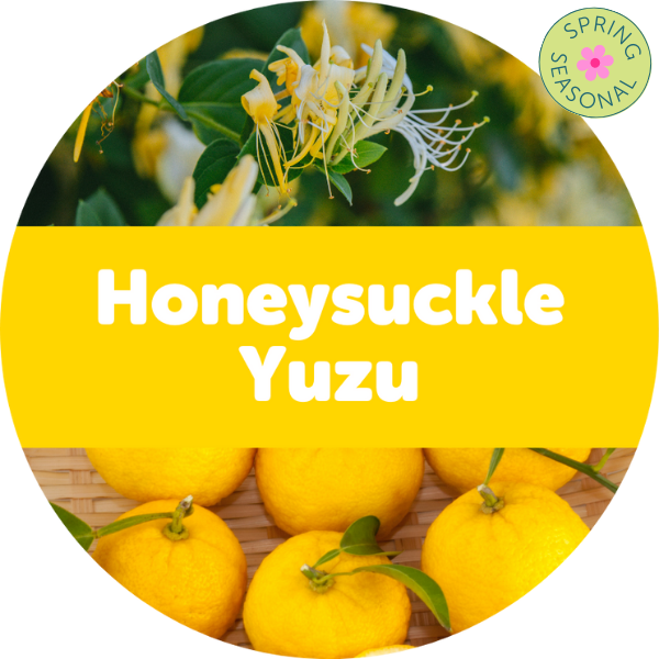 Honeysuckle Yuzu Wax Melts